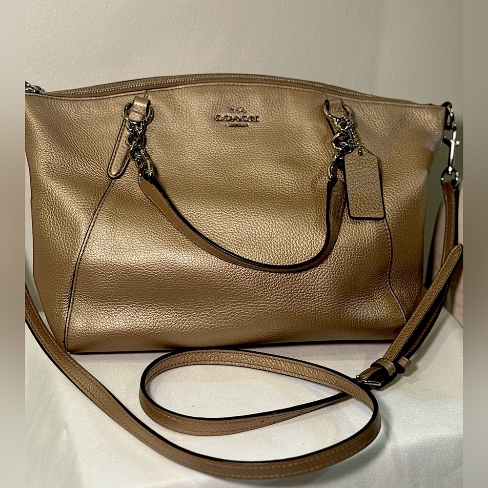 COACH metallic Purse